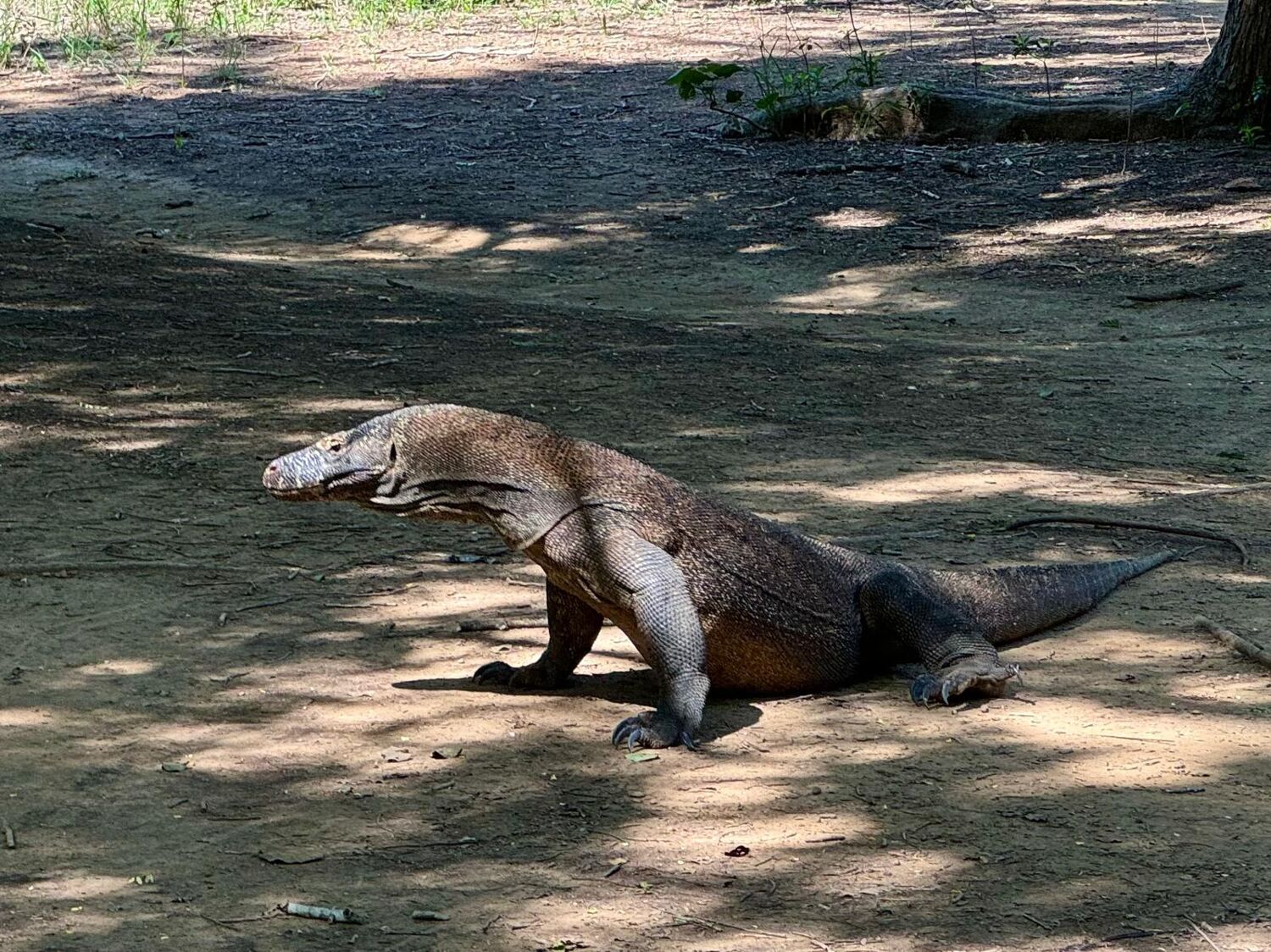 Historic ruins in Rome