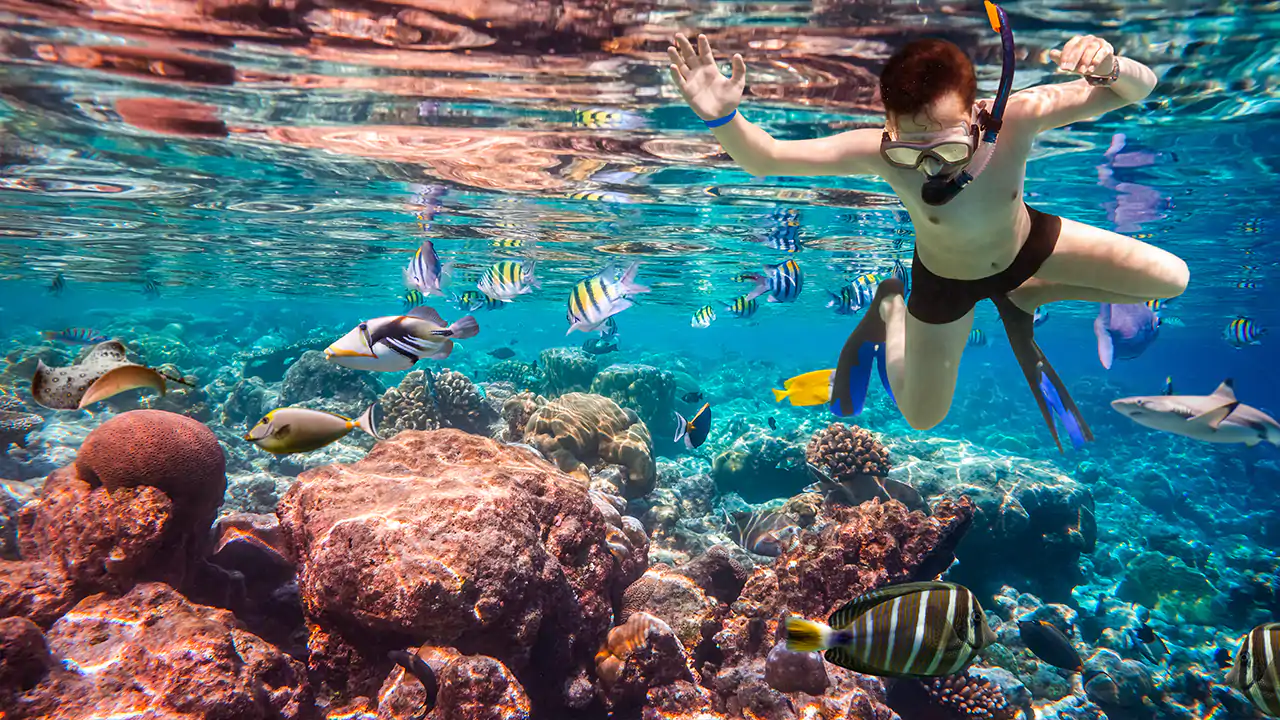 Snorkeling trip in Lombok