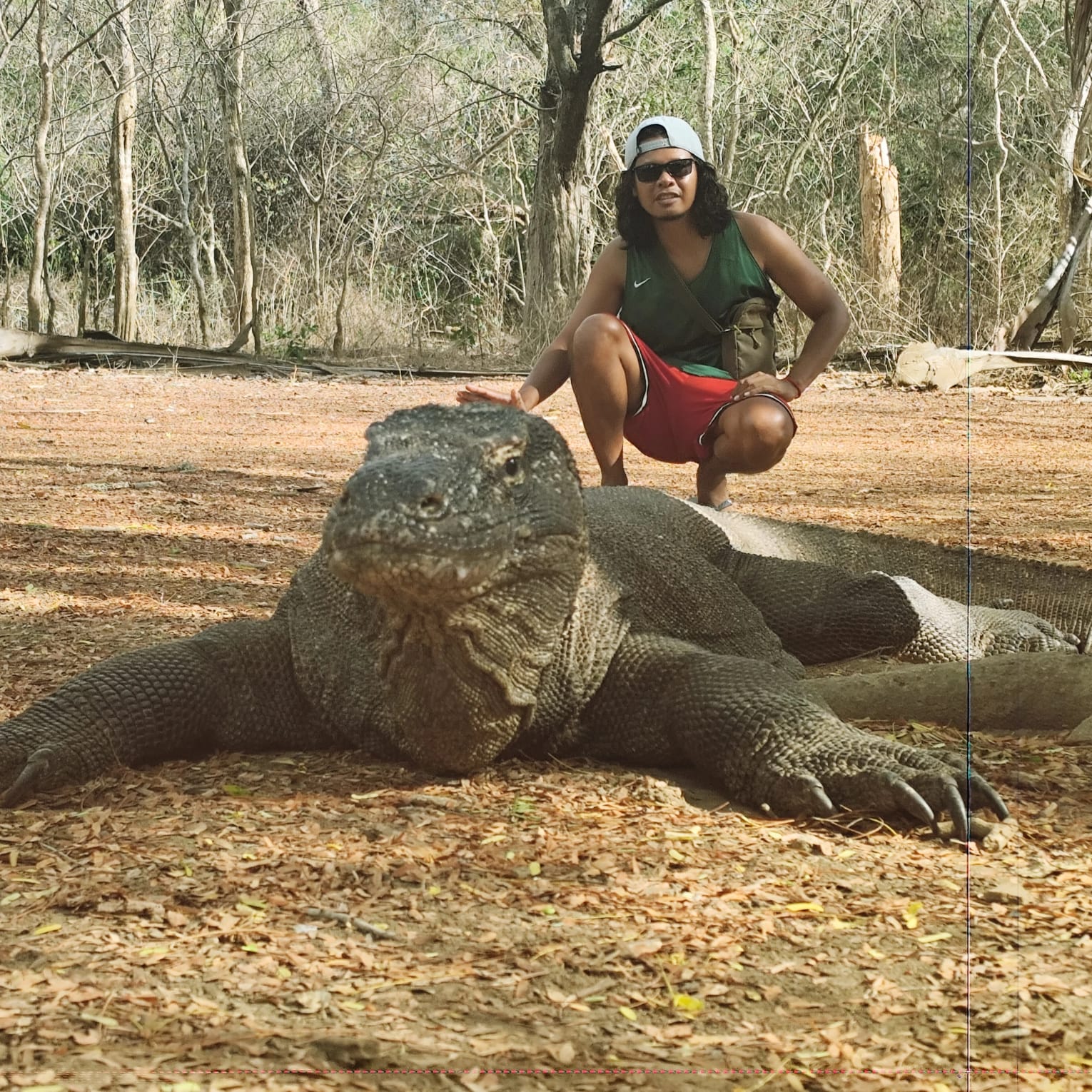 Whale Shark and Komodo Trip